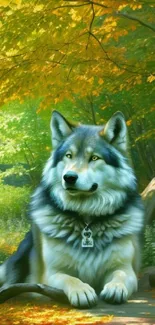 Wolf resting in a forest glade with autumn leaves.