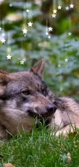 A majestic wolf rests amid vibrant green forest with starry accents.