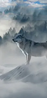 Majestic wolf standing in a misty, snowy forest with trees in the background.