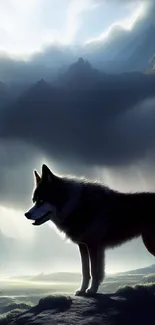 Silhouette of a wolf against misty mountainous sky.