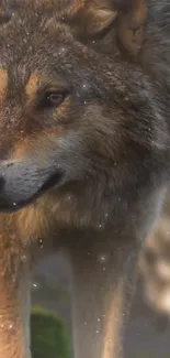 Majestic wolf standing in a serene forest setting.