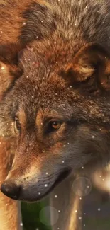 Majestic wolf with sparkling details in nature scene.