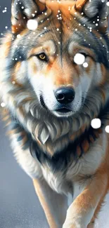 Majestic wolf in snow, beautiful mobile wallpaper.