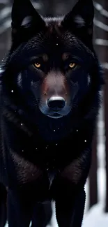 Black wolf standing in a snowy forest with trees in the background.