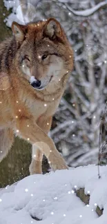 Majestic wolf walking through a snowy forest scene.