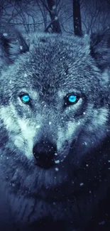 Majestic wolf with blue eyes in a snowy forest setting.