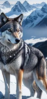 Majestic wolf stands in snowy mountain landscape, perfect for phone wallpaper.