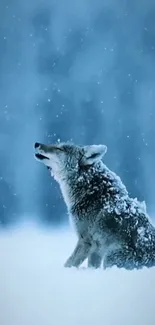 Wolf in snowy landscape, evoking wild serenity.