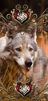 Wolf in golden meadow, framed with floral design, mobile wallpaper.