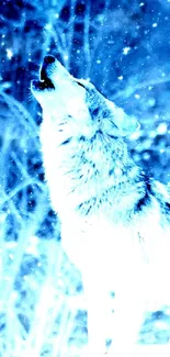 Wolf howling in snowy blue forest wallpaper.