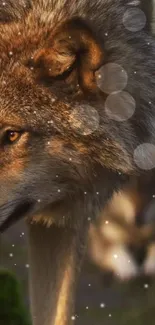 Majestic wolf in a winter landscape with shimmering lights.