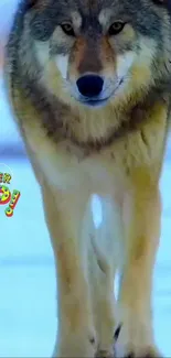 Majestic wolf standing in snowy scene.