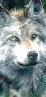 Majestic wolf mobile wallpaper with realistic design.