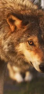 Close-up of a majestic wolf with earthy tones in a natural setting.