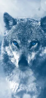 Majestic wolf in serene blue forest wallpaper.