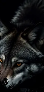 Majestic wolf with piercing eyes on a dark background; perfect for nature fans.