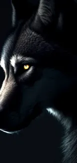 Majestic wolf with piercing eyes in a dark themed mobile wallpaper.