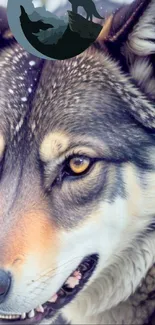 Close-up of a majestic wolf with sharp details and vibrant eyes.