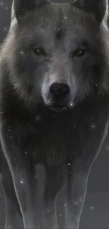 Majestic wolf in starry night mobile wallpaper, perfect for nature enthusiasts.