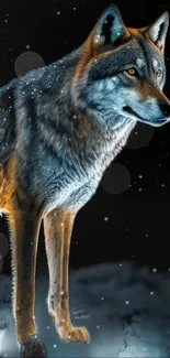 Majestic wolf under night sky with glowing fur.