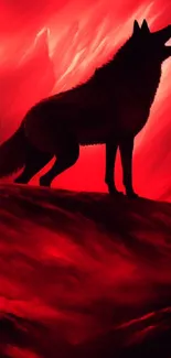 Silhouette of a wolf on a vibrant red landscape.