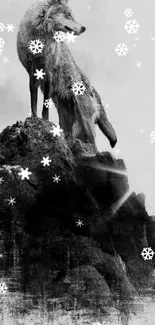 Majestic wolf standing on a rocky peak in black and white.