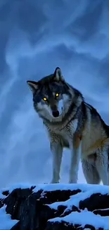 Wolf standing on a snowy cliff under a blue sky.