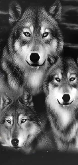 Grayscale wallpaper featuring a majestic wolf pack.