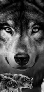 Black and white wolf pack mobile wallpaper with a majestic feel.