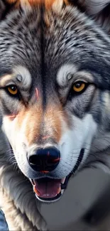 Close-up of a majestic wolf with detailed fur and piercing eyes.