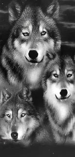 Black and white wallpaper with three wolves