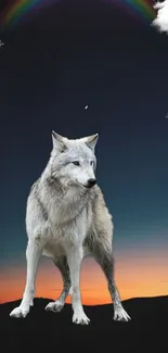 Wolf standing under a rainbow in a night sky.