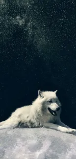 Wolf resting beneath a starry night sky, creating a serene and majestic scene.