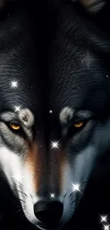 Majestic wolf with golden eyes on a dark background wallpaper.