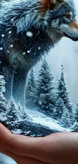 Wolf standing on a snowy forest landscape.