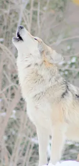 A majestic wolf howls in a snowy winter forest, surrounded by trees and snowdrifts.