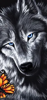 Wolf with blue eyes and butterfly wallpaper