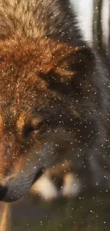 Majestic wolf with sparkles in a forest setting.