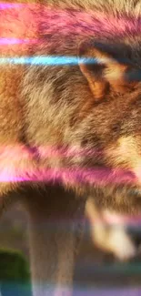 Brown wolf with neon pink and blue light streaks.