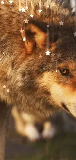 Majestic wolf with stars, brown tones.