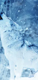 A howling wolf in a snowy, icy forest scenery.