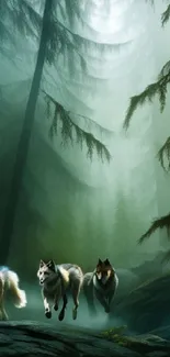 Three wolves running through a misty forest landscape.