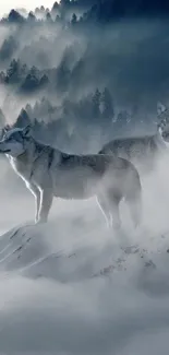 Wolves standing in a misty forest landscape, surrounded by fog.