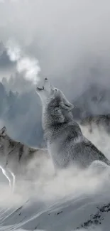 Wolves standing in misty forest landscape, howling.