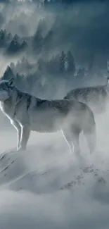 Two wolves standing in a misty mountainous forest.