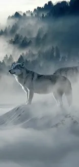 Two wolves stand in a misty mountain landscape, exuding mystery and serenity.