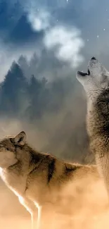 Two majestic wolves in a misty forest wallpaper.