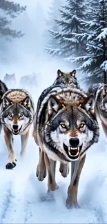 Wolf pack in a snowy forest, powerful and majestic view.
