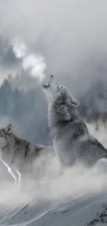 Howling wolves in a serene, foggy winter forest.