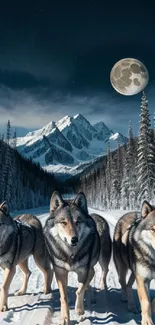 Majestic wolves in a snowy, moonlit mountain landscape.